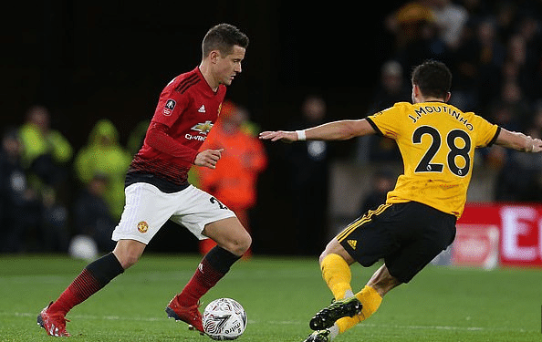 体育组织的 体育组织的